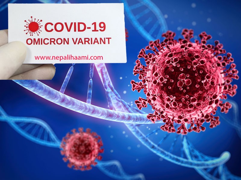 नेपालमा कोरोना संक्रमितमध्ये ८८ प्रतिशतलाई ओमिक्रोन