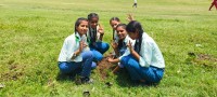 विश्व वातावरण दिवसमा सर्लाहीका विद्यालयहरूमा वृक्षारोपण