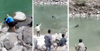 बाजुरामा गाई खोलामा बगाएको घटनाप्रति सांसदहरूको विरोध, कडा कारबाहीको माग
