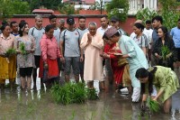 राष्ट्रपति पौडेलको सहभागितामा शीतल निवासमा धान दिवस मनाइयो