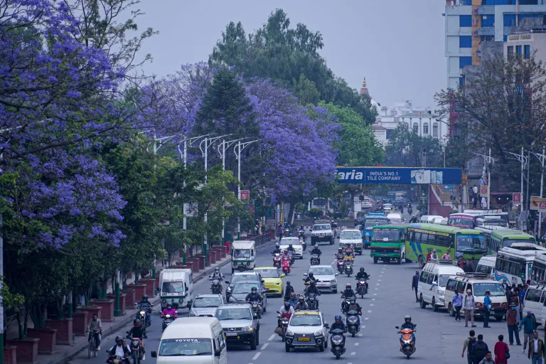 ज्याकाराण्डाको नीलो सौन्दर्यले रङ्गिएको काठमाडौँ