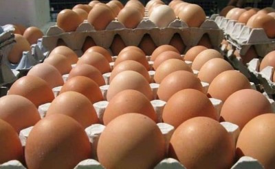 अण्डाको मूल्य क्रेटमै ३० रुपैयाँ बढ्यो