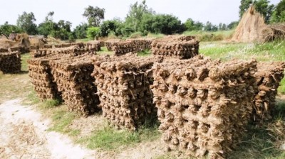 प्रचण्ड गर्मीमा ‘गुइँठा’ बनाउँदै महोत्तरीका गृहिणी